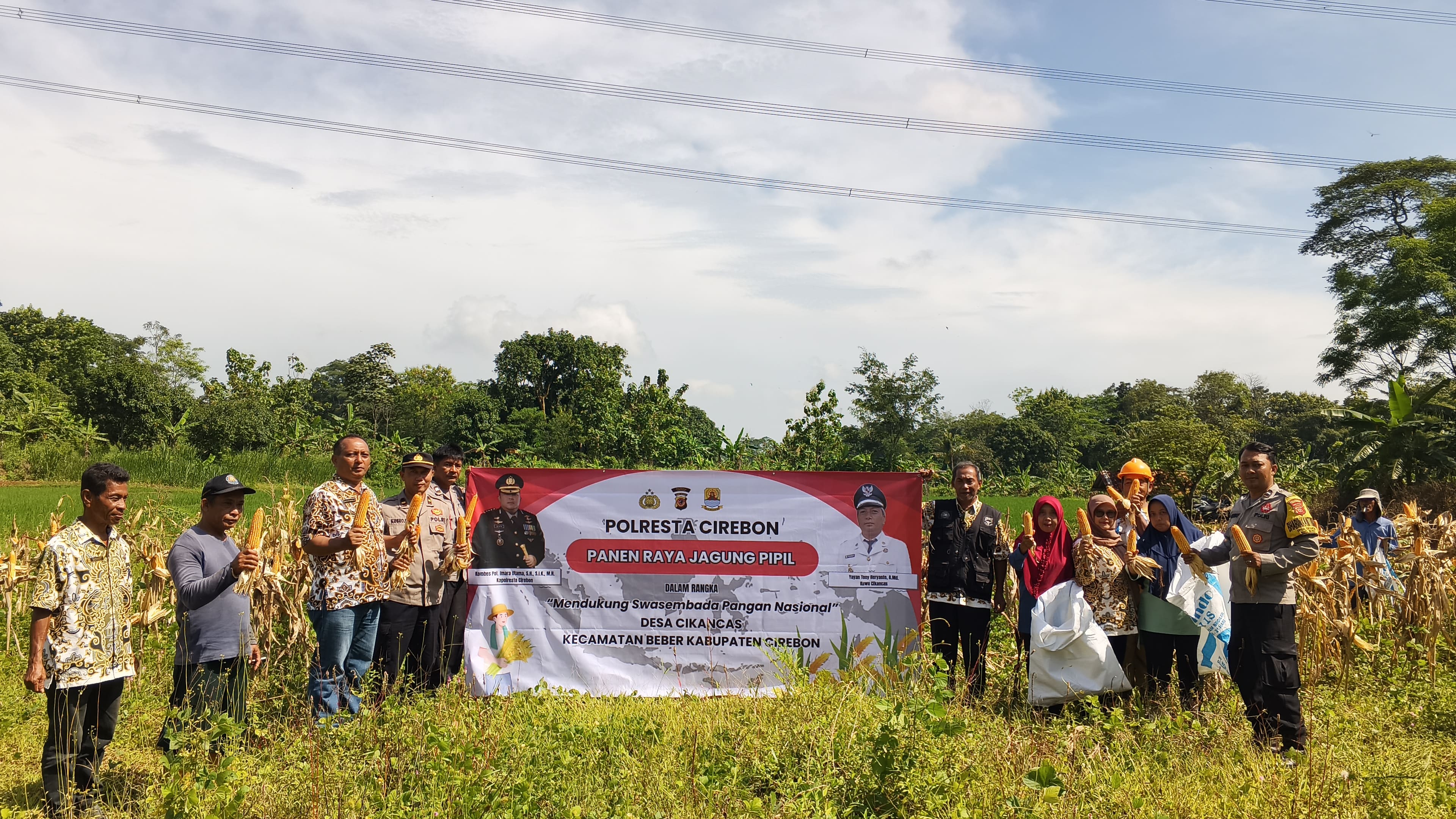 Panen Raya Jagung Pipil di Desa Cikancas Dukung Swasembada Pangan Nasional